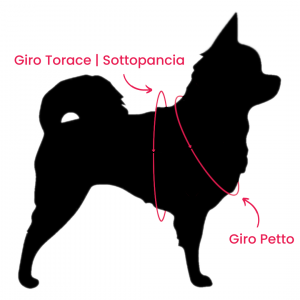 Tre Ponti Pettorina Easy Fit Sottopancia Regolabile Genesis Onyx Azzurro mis.1,5 Tre Ponti Pettorina Easy Fit Sottopancia Regolabile Genesis Onyx Azzurro mis.1,5